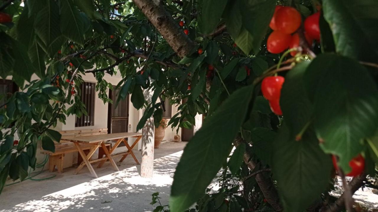 Villatzer - Traditional House With Fireplace And Garden Tzermiádon Dış mekan fotoğraf